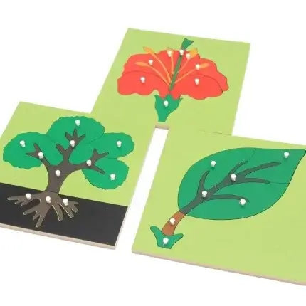 plant puzzle